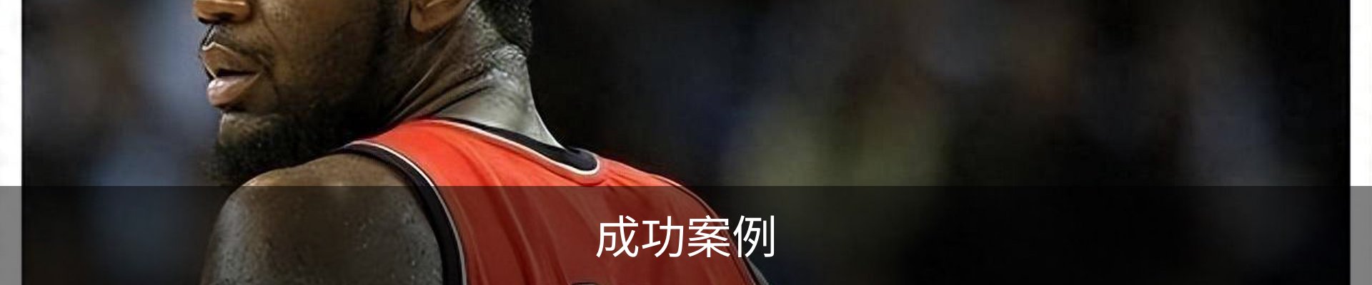 成功案例