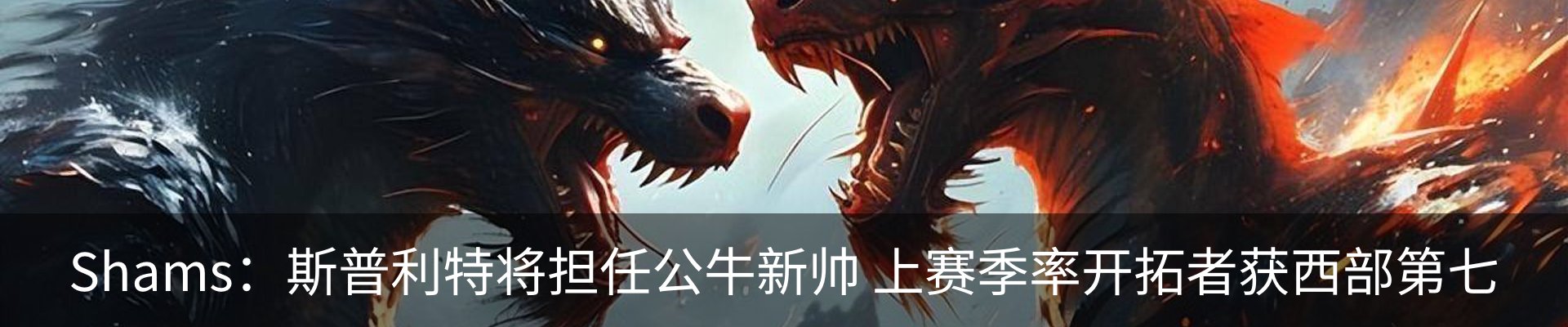 最新动态